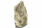 Polished, Striped Flint Stand Up - Poland #263777-1